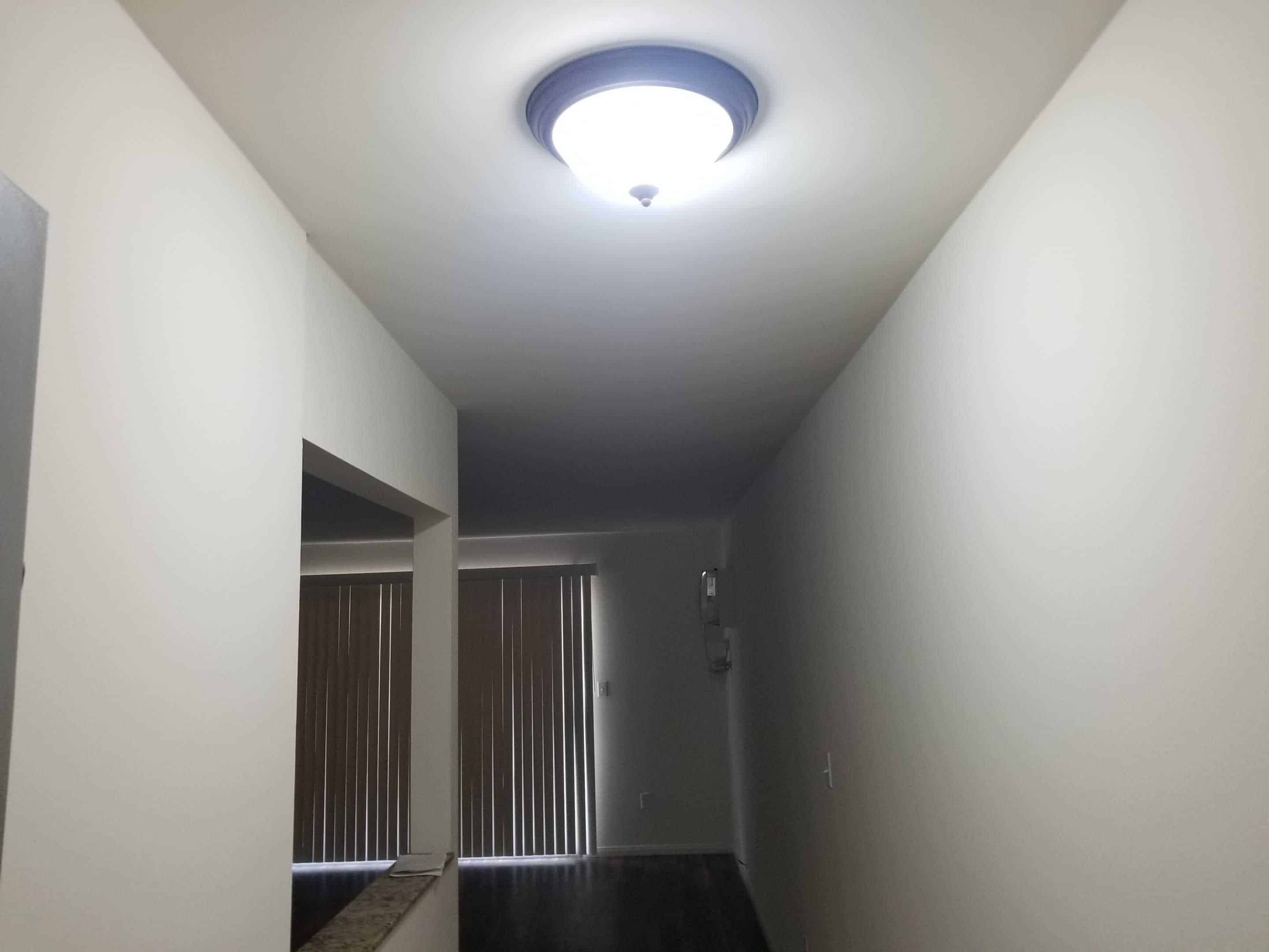 Image 18445
