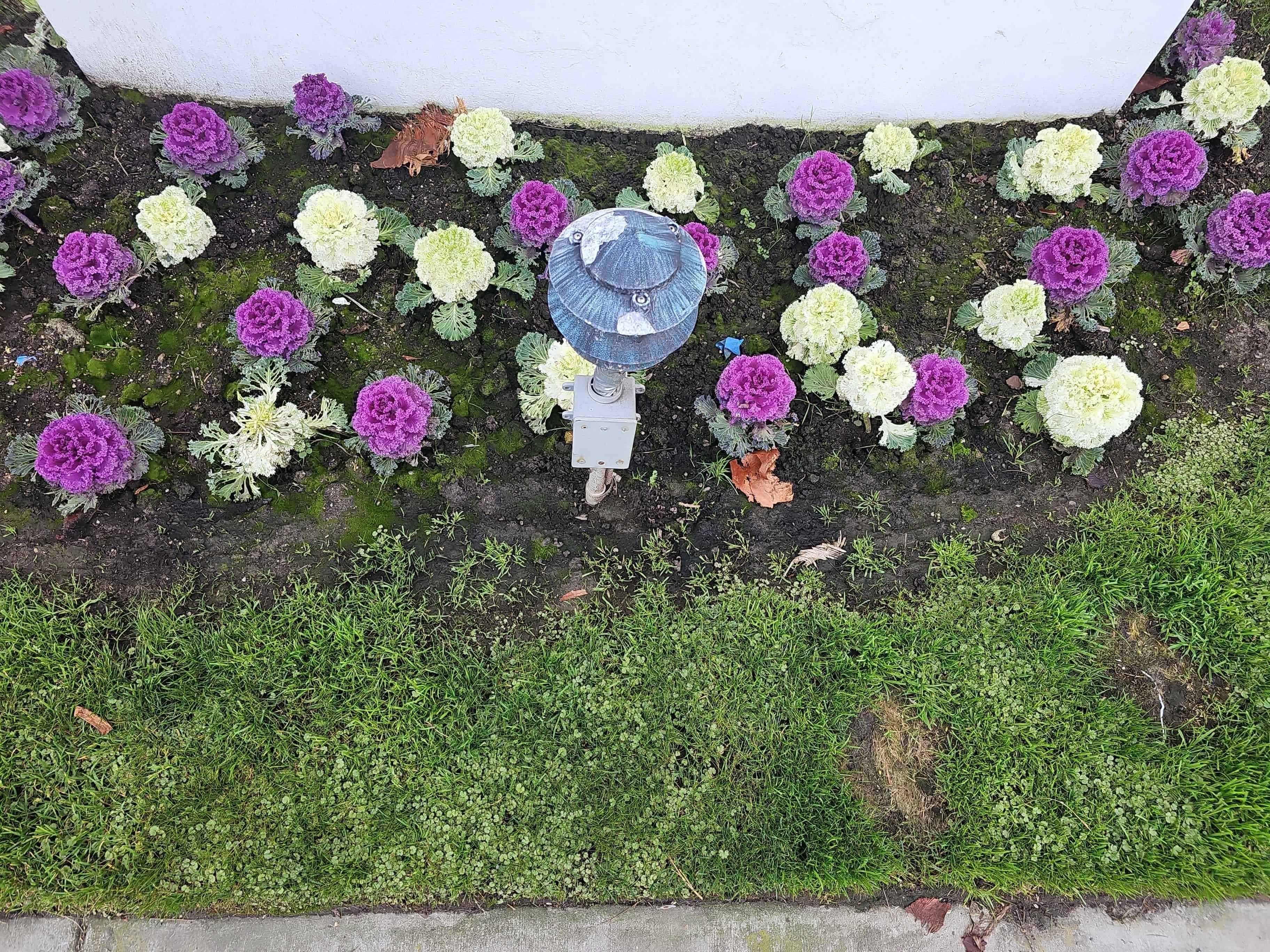 Image 85562