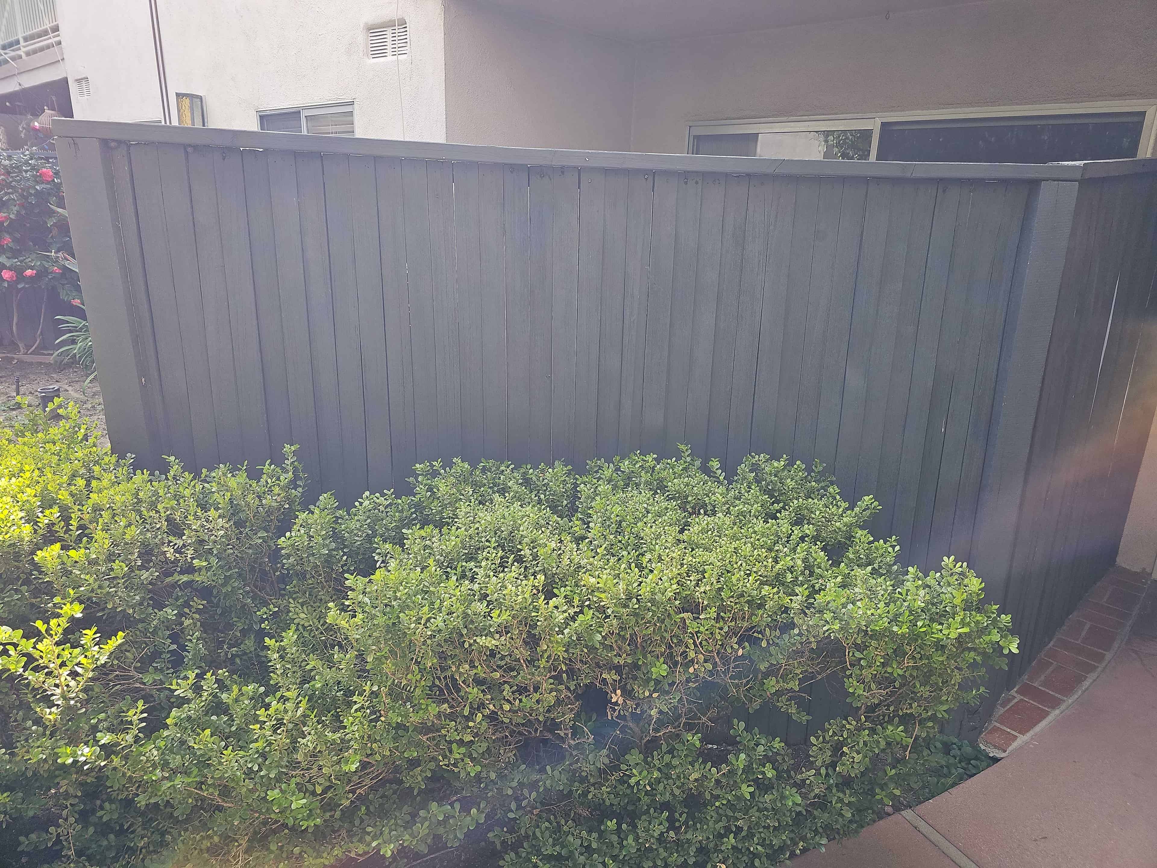 Image 103904