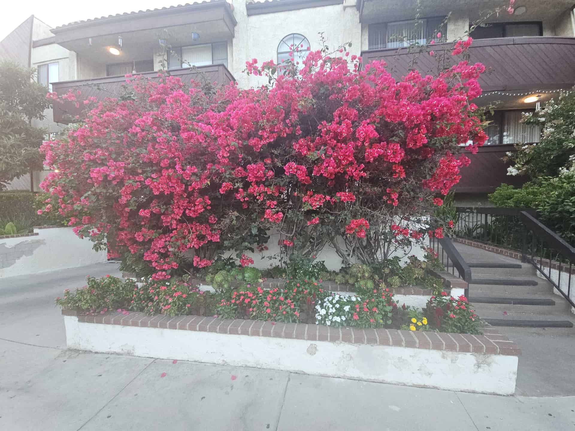 Image 114637